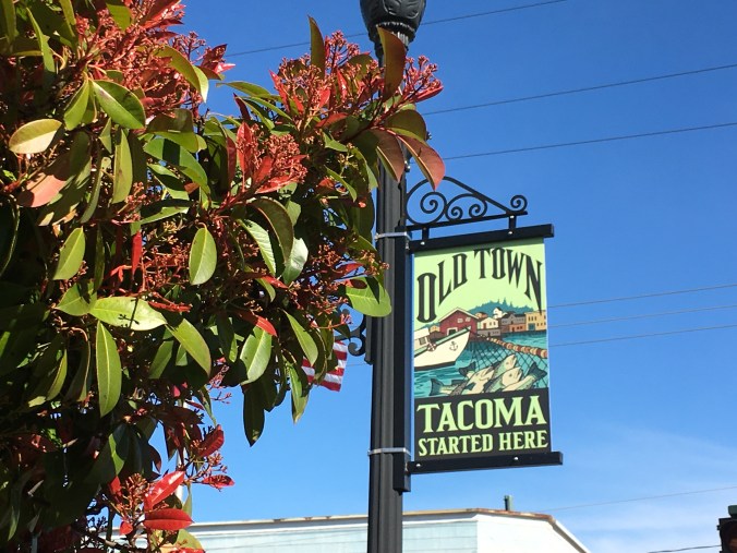 41E323F7-8363-4E3E-B397-09265A25C9AB